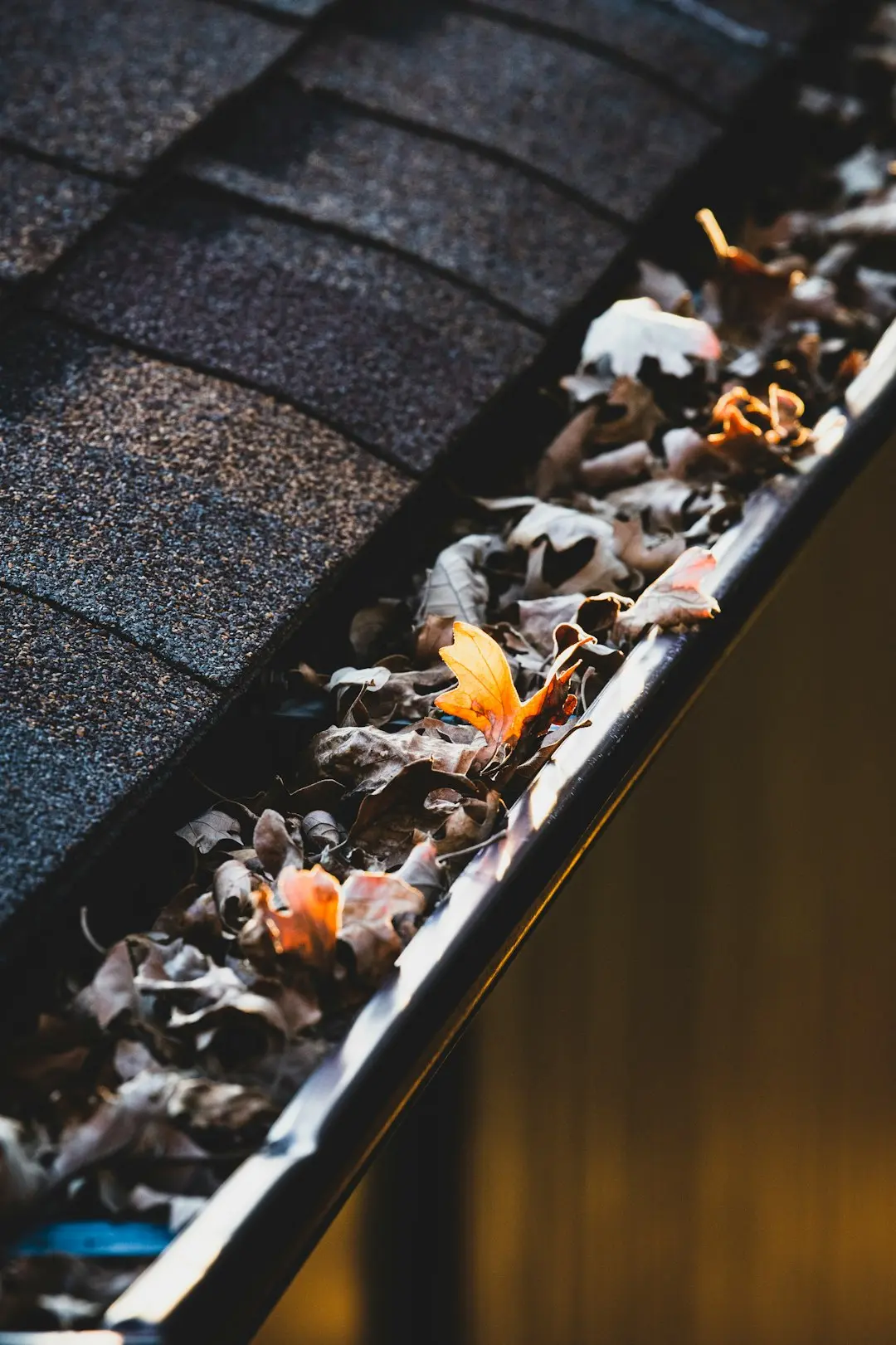 gutters on rooftop
