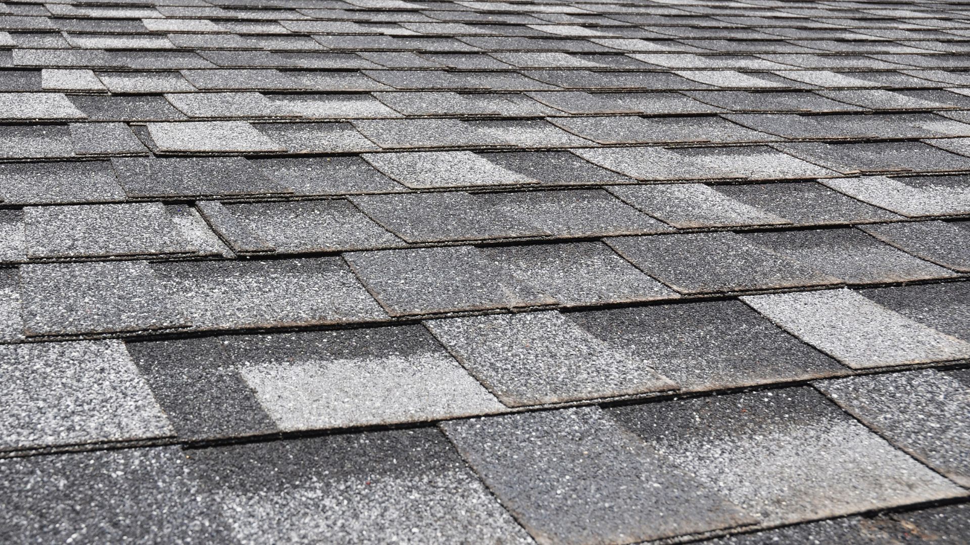 shingle recommendation for denton roofs